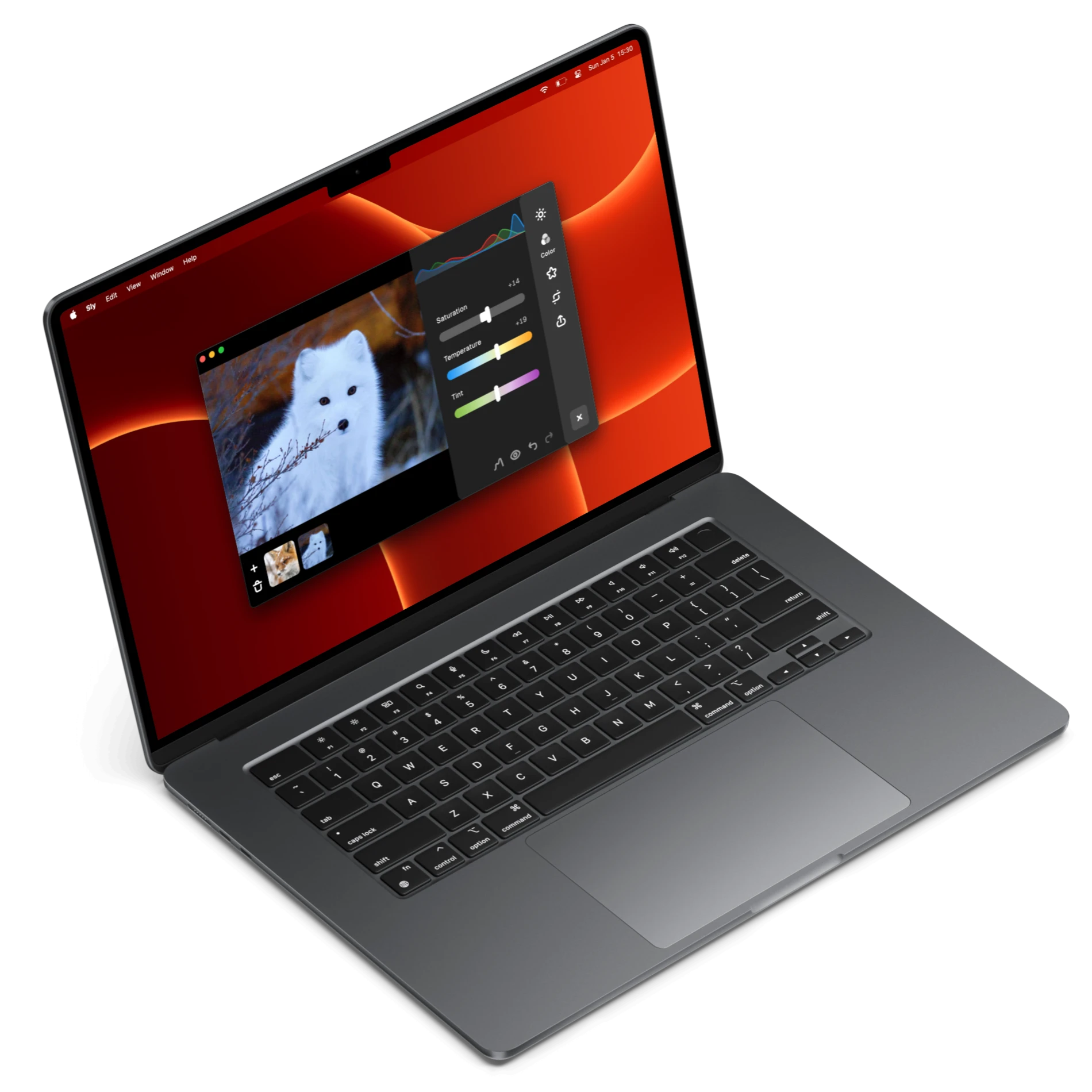 Image of Sly running on a laptop
